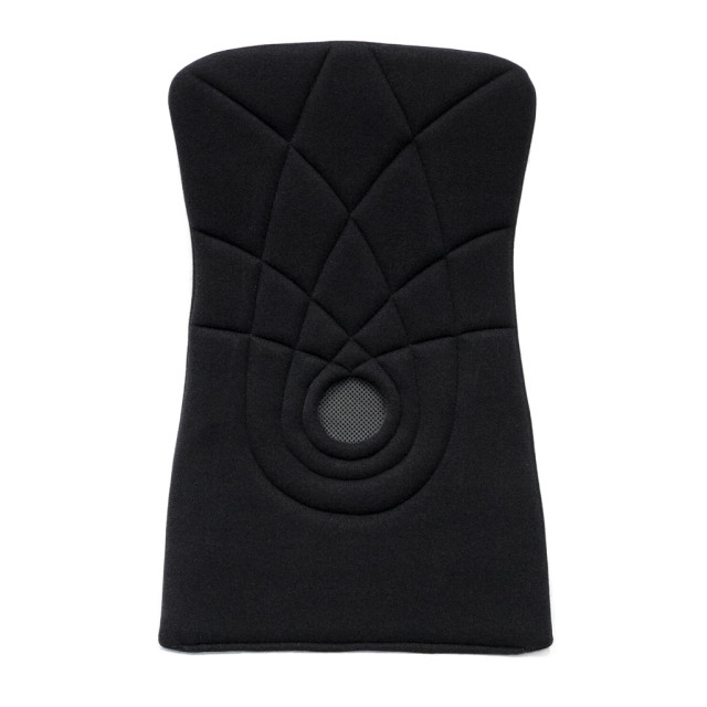 119 Series Back Cushion