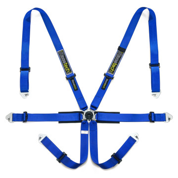Pro International 6-Point Harness - FIA Approved
