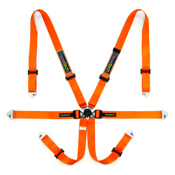 Pro International 6-Point Lightweight Harness w/ GT Adjusters - FIA Approved